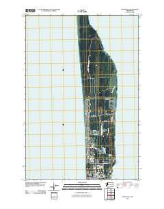 Oysterville Washington Historical topographic map, 1:24000 scale, 7.5 X 7.5 Minute, Year 2011