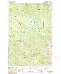 Packwood Lake Washington Historical topographic map, 1:24000 scale, 7.5 X 7.5 Minute, Year 1989