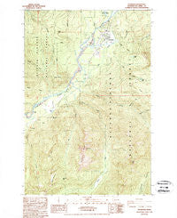 Packwood Washington Historical topographic map, 1:24000 scale, 7.5 X 7.5 Minute, Year 1989