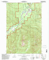 Packwood Washington Historical topographic map, 1:24000 scale, 7.5 X 7.5 Minute, Year 1994