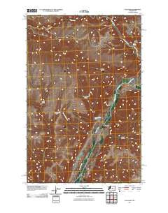 Palisades Washington Historical topographic map, 1:24000 scale, 7.5 X 7.5 Minute, Year 2011