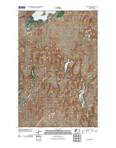 Palm Lake Washington Historical topographic map, 1:24000 scale, 7.5 X 7.5 Minute, Year 2011
