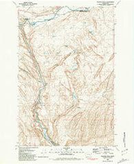 Palouse Falls Washington Historical topographic map, 1:24000 scale, 7.5 X 7.5 Minute, Year 1981
