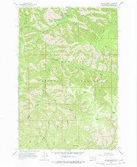 Panjab Creek Washington Historical topographic map, 1:24000 scale, 7.5 X 7.5 Minute, Year 1967