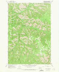 Panjab Creek Washington Historical topographic map, 1:24000 scale, 7.5 X 7.5 Minute, Year 1967