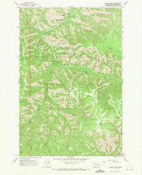 Panjab Creek Washington Historical topographic map, 1:24000 scale, 7.5 X 7.5 Minute, Year 1967
