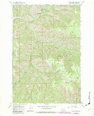 Panjab Creek Washington Historical topographic map, 1:24000 scale, 7.5 X 7.5 Minute, Year 1967