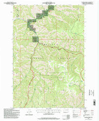Panjab Creek Washington Historical topographic map, 1:24000 scale, 7.5 X 7.5 Minute, Year 1995