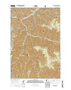 Panjab Creek Washington Current topographic map, 1:24000 scale, 7.5 X 7.5 Minute, Year 2013