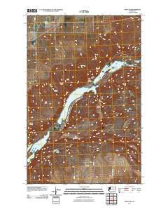 Park Lake Washington Historical topographic map, 1:24000 scale, 7.5 X 7.5 Minute, Year 2011
