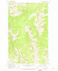 Pasayten Peak Washington Historical topographic map, 1:24000 scale, 7.5 X 7.5 Minute, Year 1969