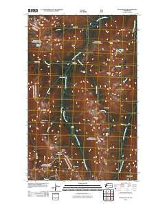 Pasayten Peak Washington Historical topographic map, 1:24000 scale, 7.5 X 7.5 Minute, Year 2011