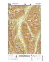 Pasayten Peak Washington Current topographic map, 1:24000 scale, 7.5 X 7.5 Minute, Year 2014