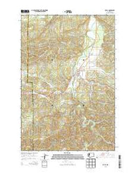 Pe Ell Washington Current topographic map, 1:24000 scale, 7.5 X 7.5 Minute, Year 2013