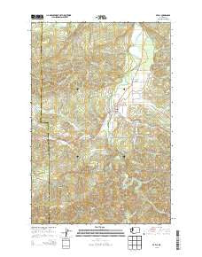 Pe Ell Washington Current topographic map, 1:24000 scale, 7.5 X 7.5 Minute, Year 2013