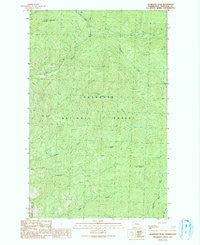 Pearrygin Peak Washington Historical topographic map, 1:24000 scale, 7.5 X 7.5 Minute, Year 1991