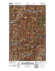 Pearrygin Peak Washington Historical topographic map, 1:24000 scale, 7.5 X 7.5 Minute, Year 2011