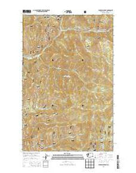 Pearrygin Peak Washington Current topographic map, 1:24000 scale, 7.5 X 7.5 Minute, Year 2014