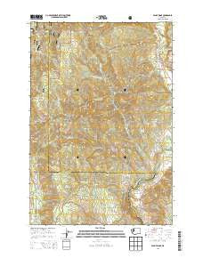 Penny Ridge Washington Current topographic map, 1:24000 scale, 7.5 X 7.5 Minute, Year 2014