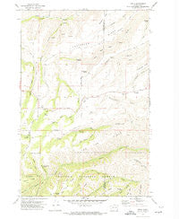 Peola Washington Historical topographic map, 1:24000 scale, 7.5 X 7.5 Minute, Year 1971