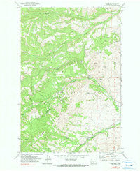 Pine Mtn. Washington Historical topographic map, 1:24000 scale, 7.5 X 7.5 Minute, Year 1971