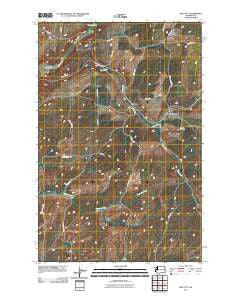 Pine City Washington Historical topographic map, 1:24000 scale, 7.5 X 7.5 Minute, Year 2011