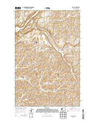 Pine City Washington Current topographic map, 1:24000 scale, 7.5 X 7.5 Minute, Year 2014