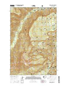 Pinegrass Ridge Washington Current topographic map, 1:24000 scale, 7.5 X 7.5 Minute, Year 2014
