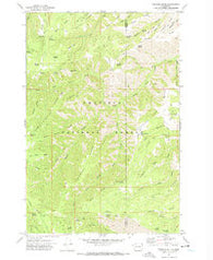 Pinkham Butte Washington Historical topographic map, 1:24000 scale, 7.5 X 7.5 Minute, Year 1971