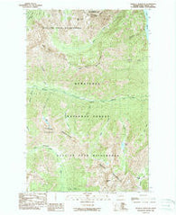 Pinnacle Mountain Washington Historical topographic map, 1:24000 scale, 7.5 X 7.5 Minute, Year 1988