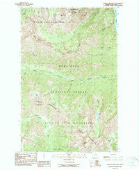 Pinnacle Mountain Washington Historical topographic map, 1:24000 scale, 7.5 X 7.5 Minute, Year 1988