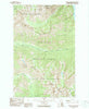 Pinnacle Mountain Washington Historical topographic map, 1:24000 scale, 7.5 X 7.5 Minute, Year 1988