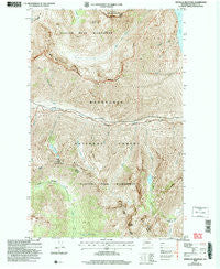 Pinnacle Mountain Washington Historical topographic map, 1:24000 scale, 7.5 X 7.5 Minute, Year 2004
