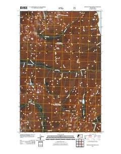 Pinnacle Mountain Washington Historical topographic map, 1:24000 scale, 7.5 X 7.5 Minute, Year 2011