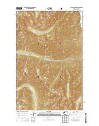 Pinnacle Mountain Washington Current topographic map, 1:24000 scale, 7.5 X 7.5 Minute, Year 2014