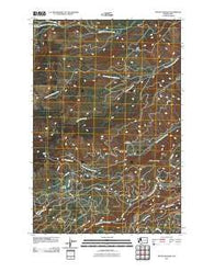 Piscoe Meadow Washington Historical topographic map, 1:24000 scale, 7.5 X 7.5 Minute, Year 2011