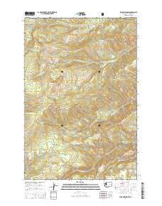 Piscoe Meadow Washington Current topographic map, 1:24000 scale, 7.5 X 7.5 Minute, Year 2014