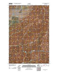 Pleasant View Washington Historical topographic map, 1:24000 scale, 7.5 X 7.5 Minute, Year 2011