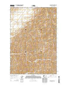 Pleasant View Washington Current topographic map, 1:24000 scale, 7.5 X 7.5 Minute, Year 2014
