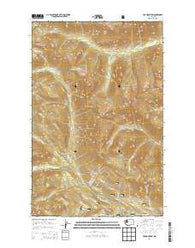 Poe Mountain Washington Current topographic map, 1:24000 scale, 7.5 X 7.5 Minute, Year 2014
