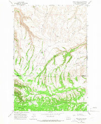 Poisel Butte SW Washington Historical topographic map, 1:24000 scale, 7.5 X 7.5 Minute, Year 1965