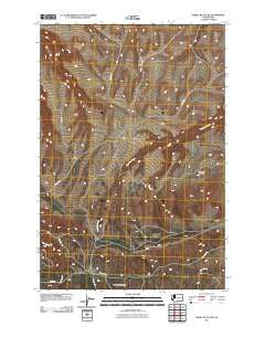 Poisel Butte SW Washington Historical topographic map, 1:24000 scale, 7.5 X 7.5 Minute, Year 2011