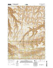 Poisel Butte SW Washington Current topographic map, 1:24000 scale, 7.5 X 7.5 Minute, Year 2013