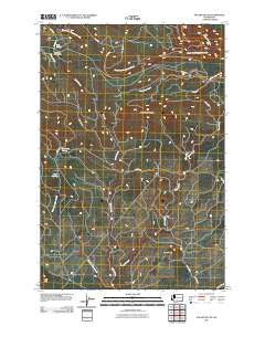 Poland Butte Washington Historical topographic map, 1:24000 scale, 7.5 X 7.5 Minute, Year 2011