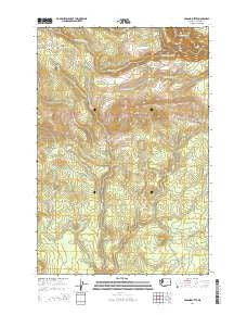 Poland Butte Washington Current topographic map, 1:24000 scale, 7.5 X 7.5 Minute, Year 2014