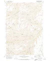 Potter Hill Washington Historical topographic map, 1:24000 scale, 7.5 X 7.5 Minute, Year 1971