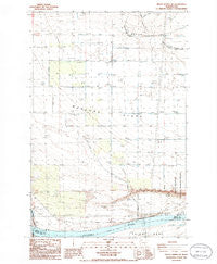 Priest Rapids NE Washington Historical topographic map, 1:24000 scale, 7.5 X 7.5 Minute, Year 1986