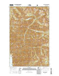 Prince Creek Washington Current topographic map, 1:24000 scale, 7.5 X 7.5 Minute, Year 2014
