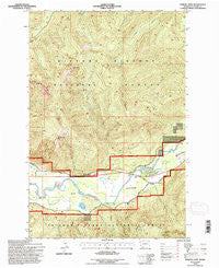Purcell Mtn. Washington Historical topographic map, 1:24000 scale, 7.5 X 7.5 Minute, Year 1994
