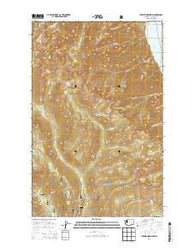Pyramid Mountain Washington Current topographic map, 1:24000 scale, 7.5 X 7.5 Minute, Year 2014